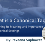 What is a Canonical Tag? Explaining Its Meaning and Importance in Canonical Settings
