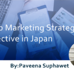 Web Marketing Strategies  Effective in Japan