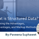 What is Structured Data? Explaining the Advantages, Disadvantages, and Markup Methods