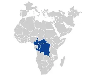 中央アフリカのSEO