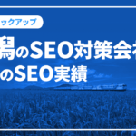 新潟のSEO対策会社と弊社のSEO実績