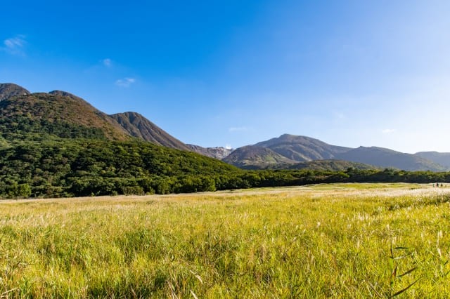 青空と緑の草原が広がる風景の写真