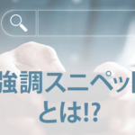 強調スニペットとは？ナレッジパネルやリッチスニペットもあわせて解説