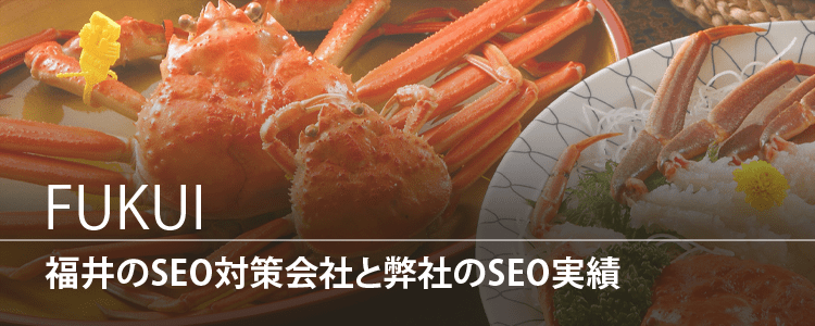 福井県のSEO対策会社