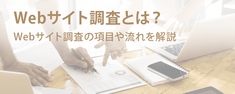 WEBサイト調査とは