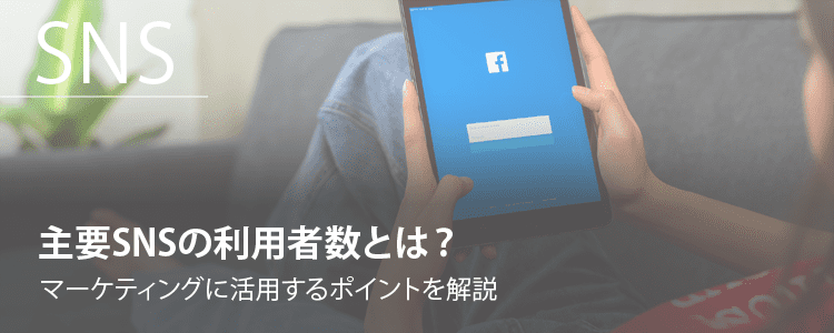 主要SNSの利用者数とは
