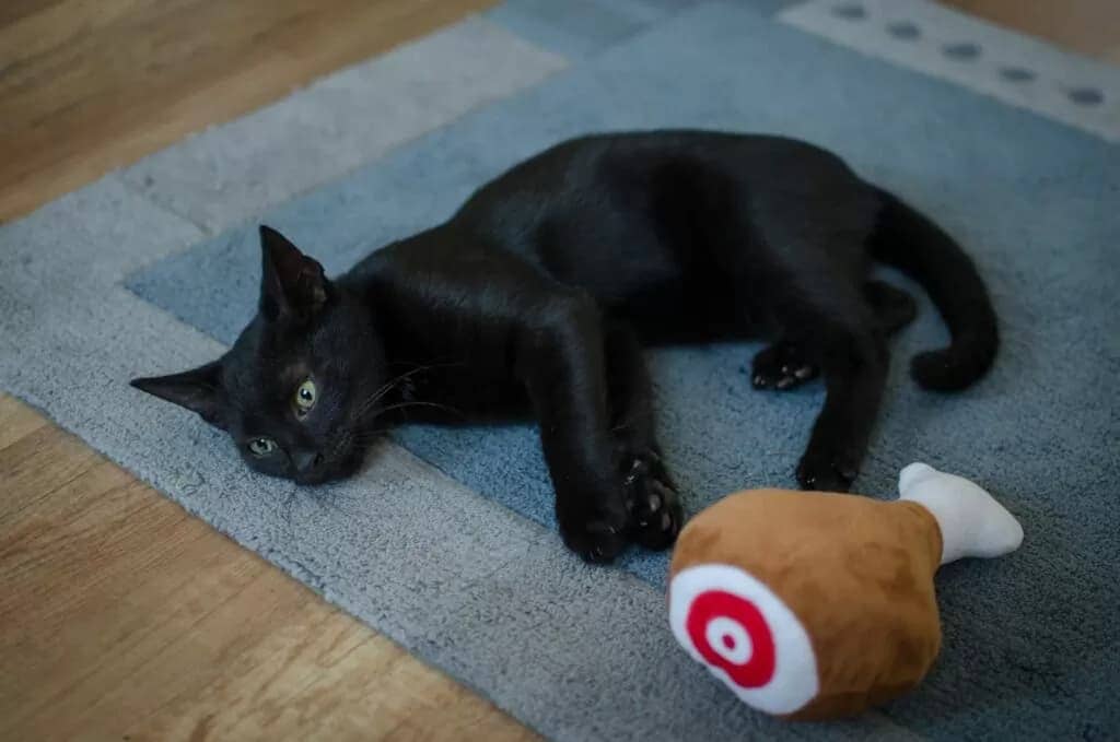 おもちゃ遊びに飽きた黒い猫と肉の形のおもちゃ